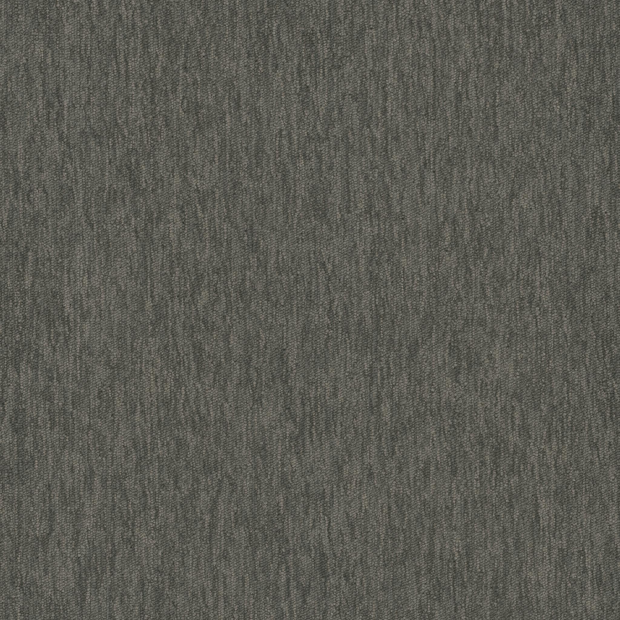 Streaming 26 Broadloom - Pentz Flooring