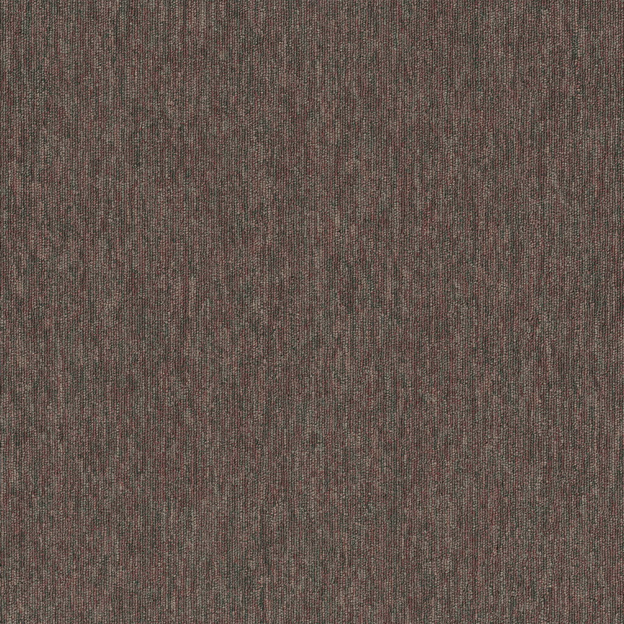 Fast Break - Pentz Flooring