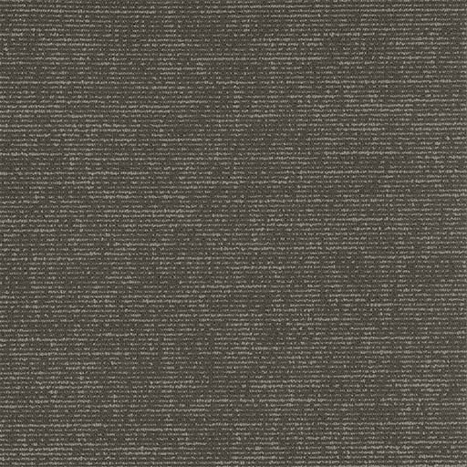 Formation — Organization (1879) swatch