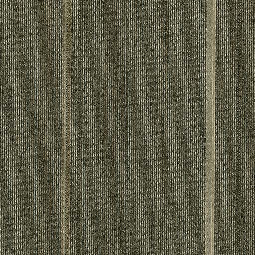 Revival — Scoop (2215) swatch