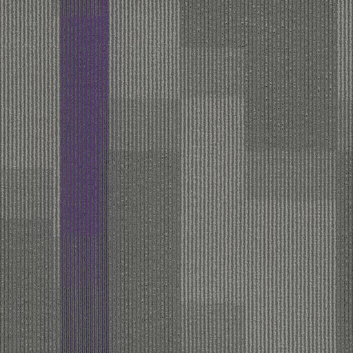 Amplify Tile — Royal Purple (3136) swatch