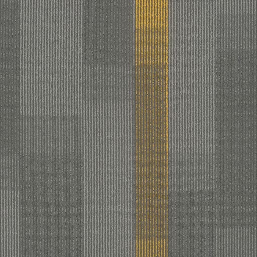 Amplify Tile — Medallion (3143) swatch