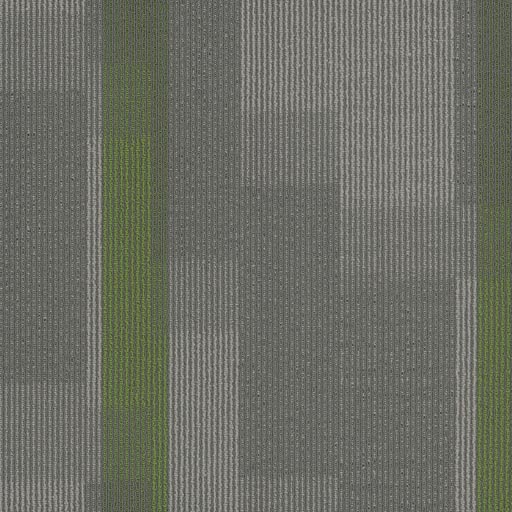 Amplify Tile — Parrot (3147) swatch
