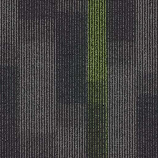 Magnify Tile — Parrot (3147) swatch