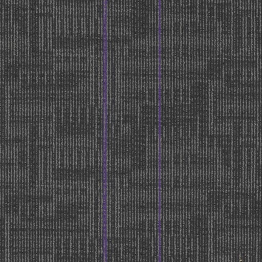 Echo Plank — Royal Purple (3136) swatch