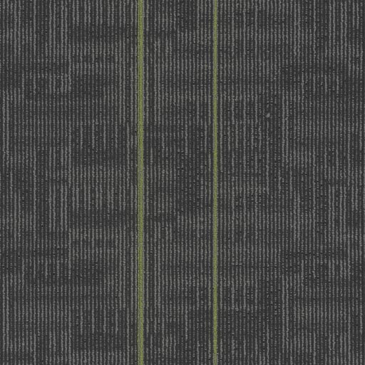 Echo Plank — Parrot (3147) swatch