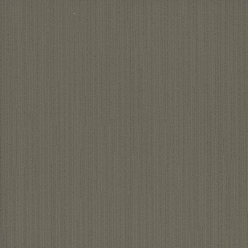 Colorpoint Plank — Oyster (3203) carpet tile