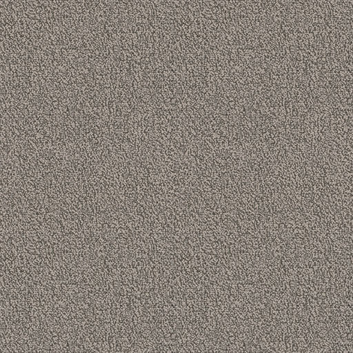 Chivalry — Loyal (2641) swatch