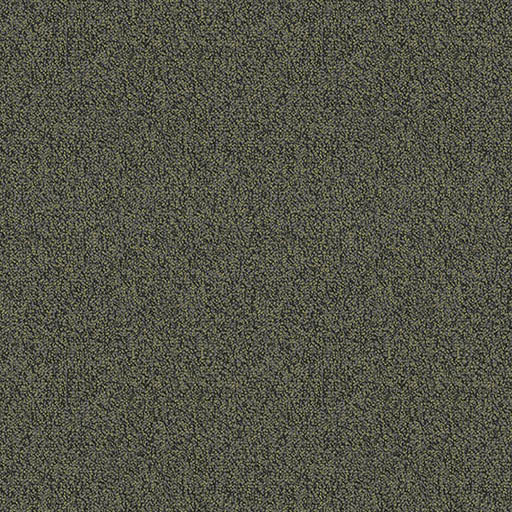 Chivalry — Generous (2655) swatch
